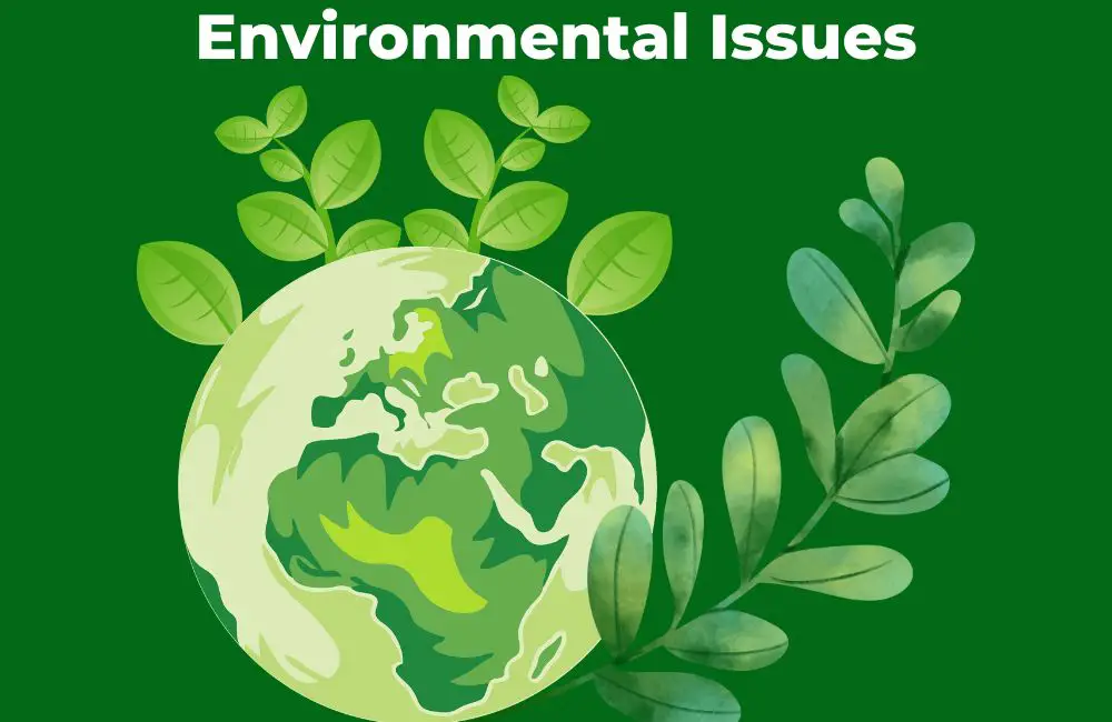 Vocabulary for Environmental Issues Some Must-know Terms